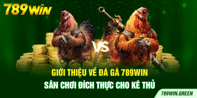 Giới thiệu về đá gà 789win – Sân chơi đích thực cho kê thủ